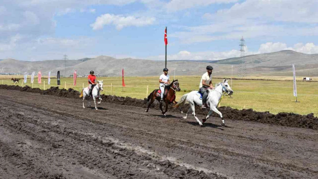 Ardahan'da Rahvan Atları Yarışları'nda final heyecanı