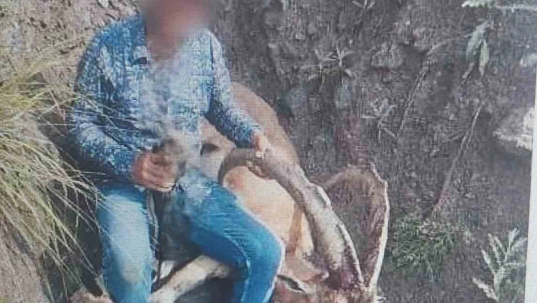 Kars’ta 1 kişi yaban keçisi avladı: 650 bin lira ceza ödedi
