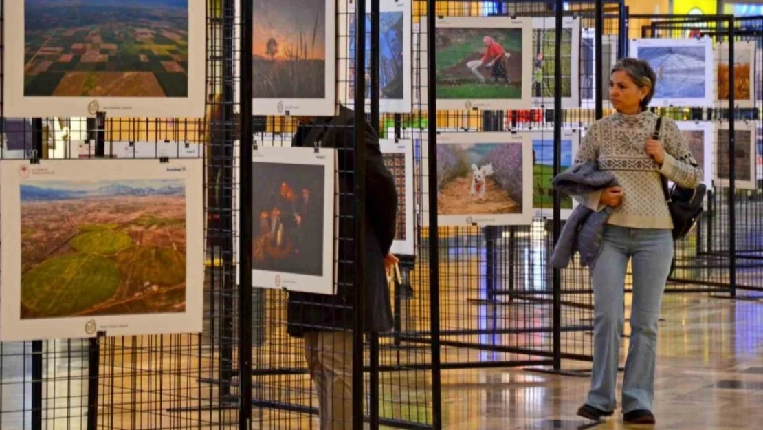 '14. Uluslararası Tarım, Orman ve İnsan Fotoğraf Yarışması'na başvurular başladı