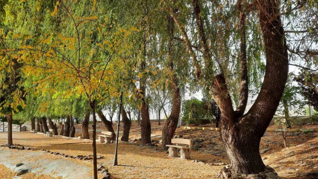 'Bor'da Sonbahar' temalı fotoğraf  yarışması sonuçlandı