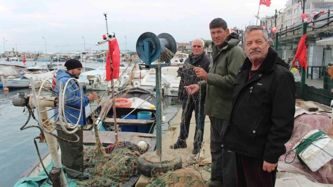 'Gemlik Körfezi büyük balıkçılara yasaklansın' talebi