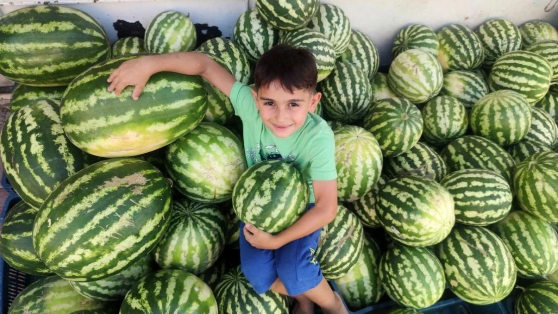 Tunceli'de 'Hıdıroz' karpuzu tezgahlardaki yerini aldı