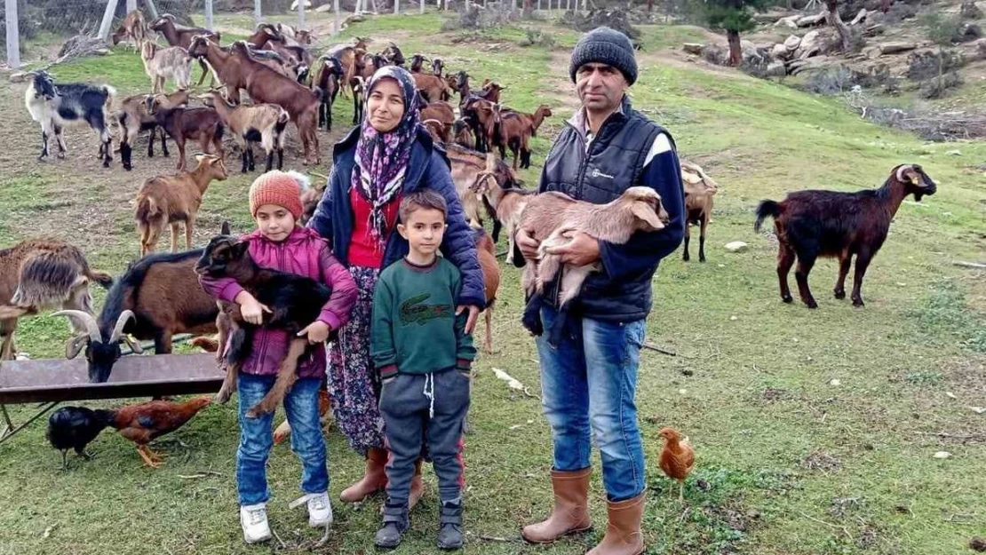 'Kavşit Köyü ve Yöresi Keçicilik Projesi' devam ediyor