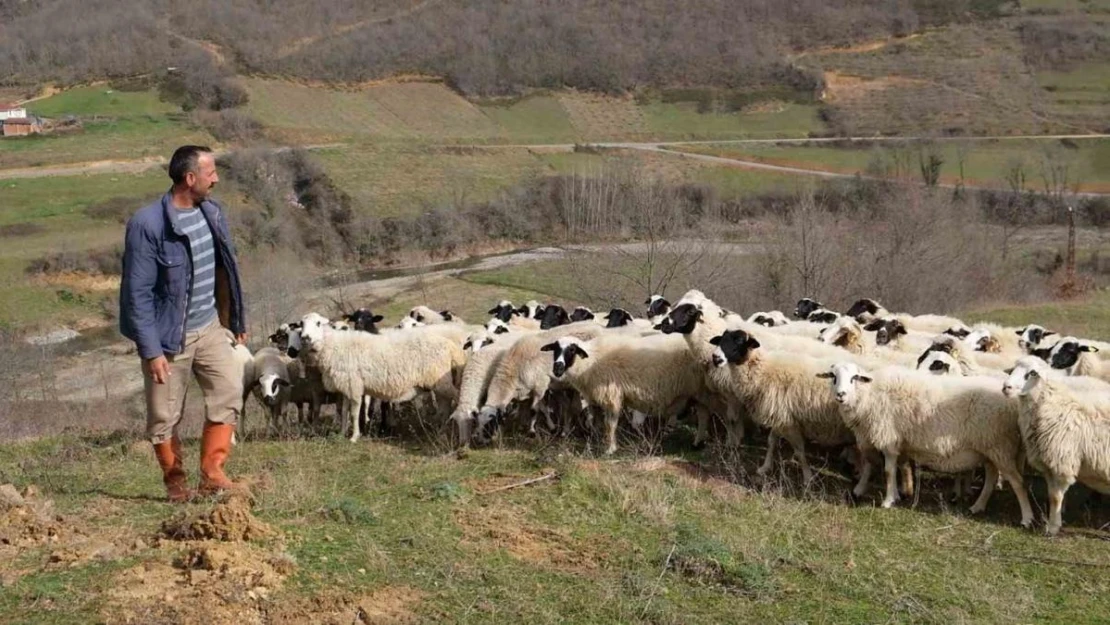 'Sevgililer Günü'nün en anlamlı hediyesi çobandan