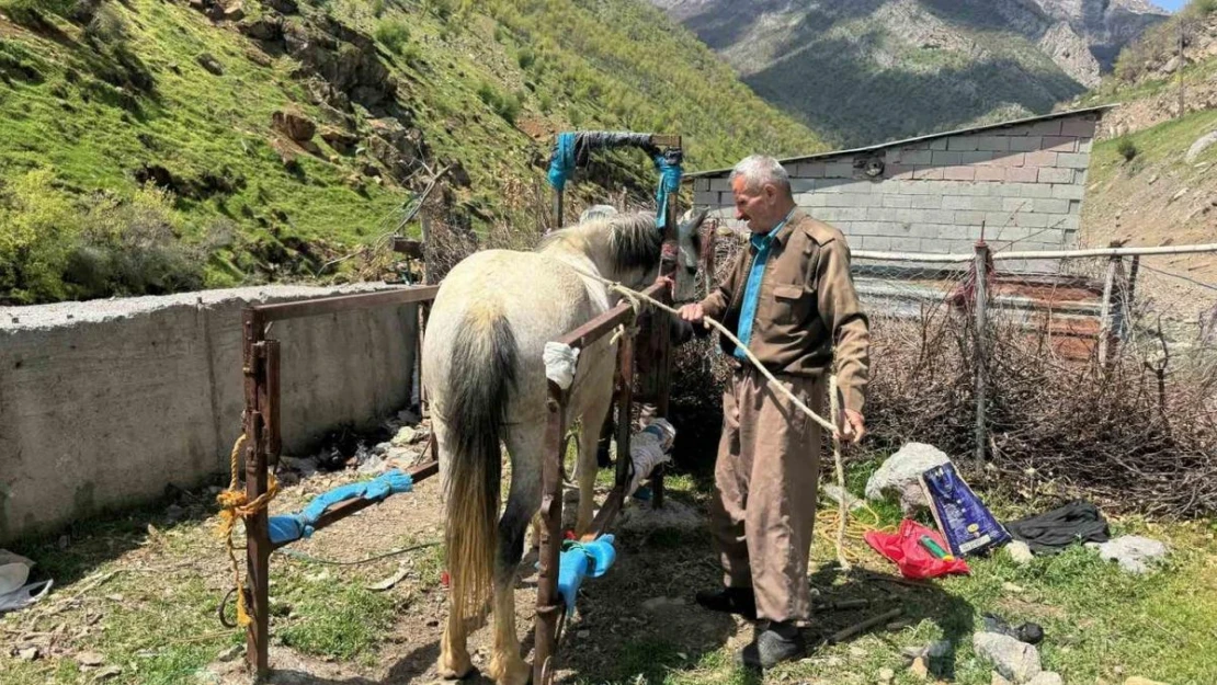 20 yıldır nalbantlık yapan usta, at ve katırların ayak bakımlarını yapıyor