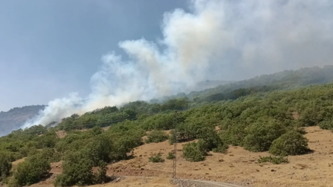 Bingöl ormanları hala yanıyor