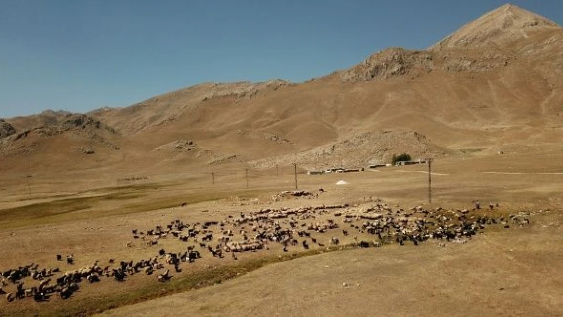 Şırnak'ta göçerlerin geri dönüş yolculuğu başladı