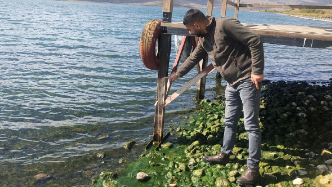Çıldır kuraklığın etkisi altında