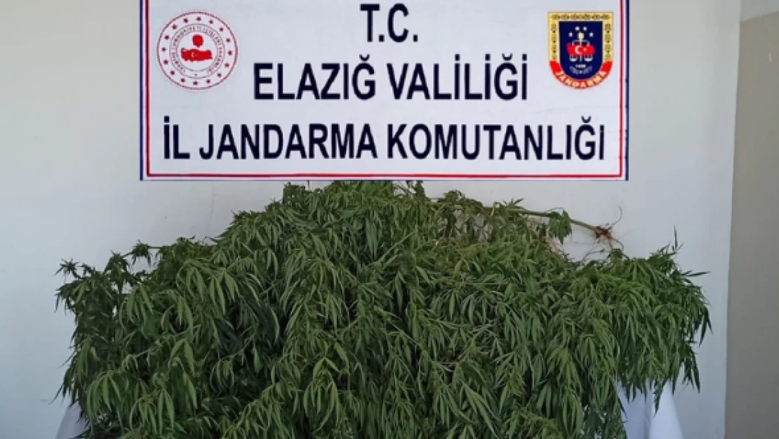 Elazığ'da uyuşturucu operasyonu