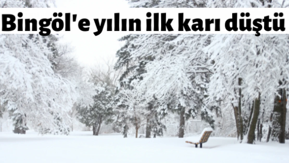 Bingöl'e mevsimin ilk karı düştü
