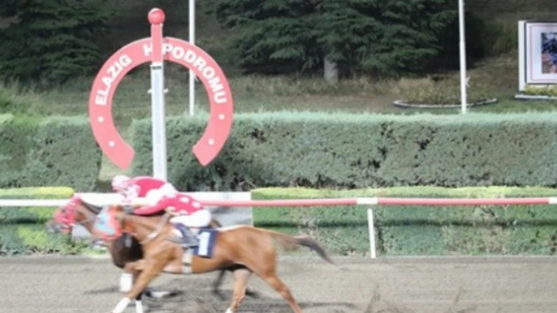Elazığ Üzüm Koşusu'nu Dothraki kazandı