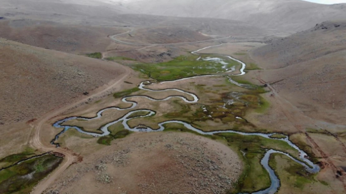 İşte Ağrı'nın volkanik platolarındaki mendereslerin sonbahar güzelliği