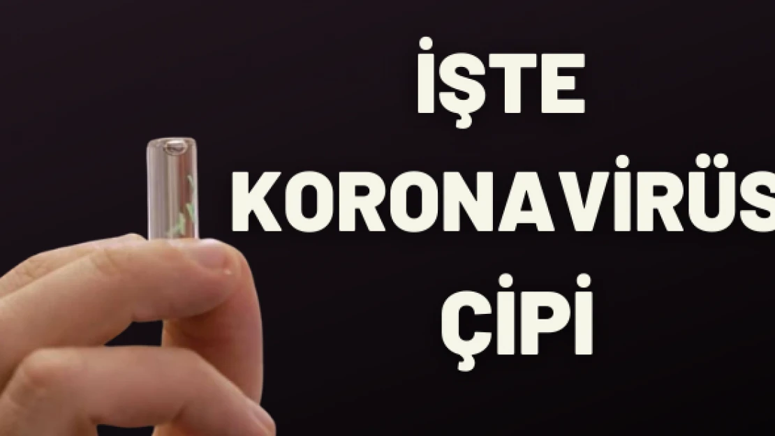 İşte koronavirüs çipi