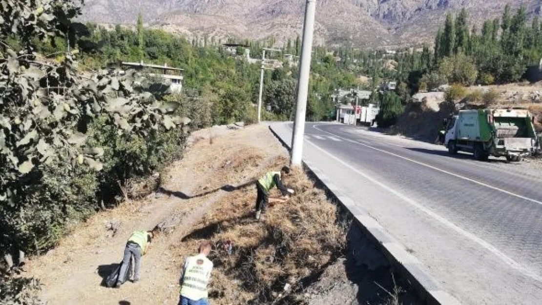 Şenoba belediyesinden sonbahar temizliği