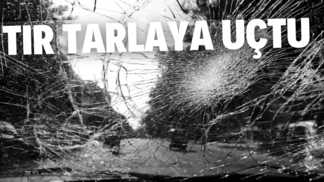 TIR tarlaya uçtu