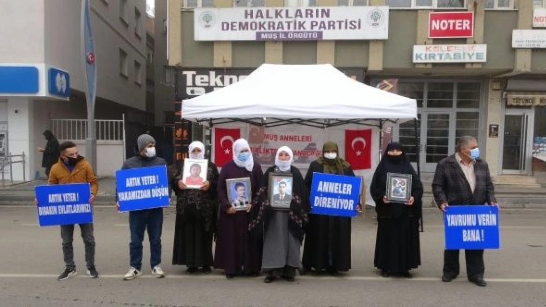 Acılı ailelerin dondurucu soğukta evlat nöbeti