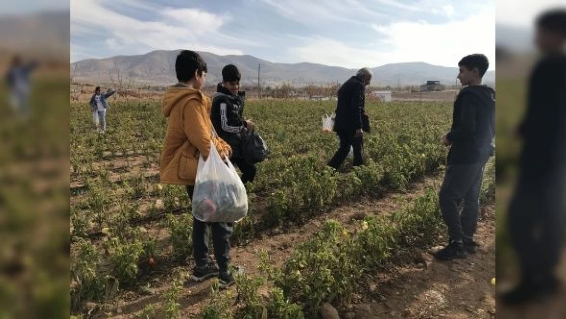 Fiyatlara kızan çiftçiden tepki!