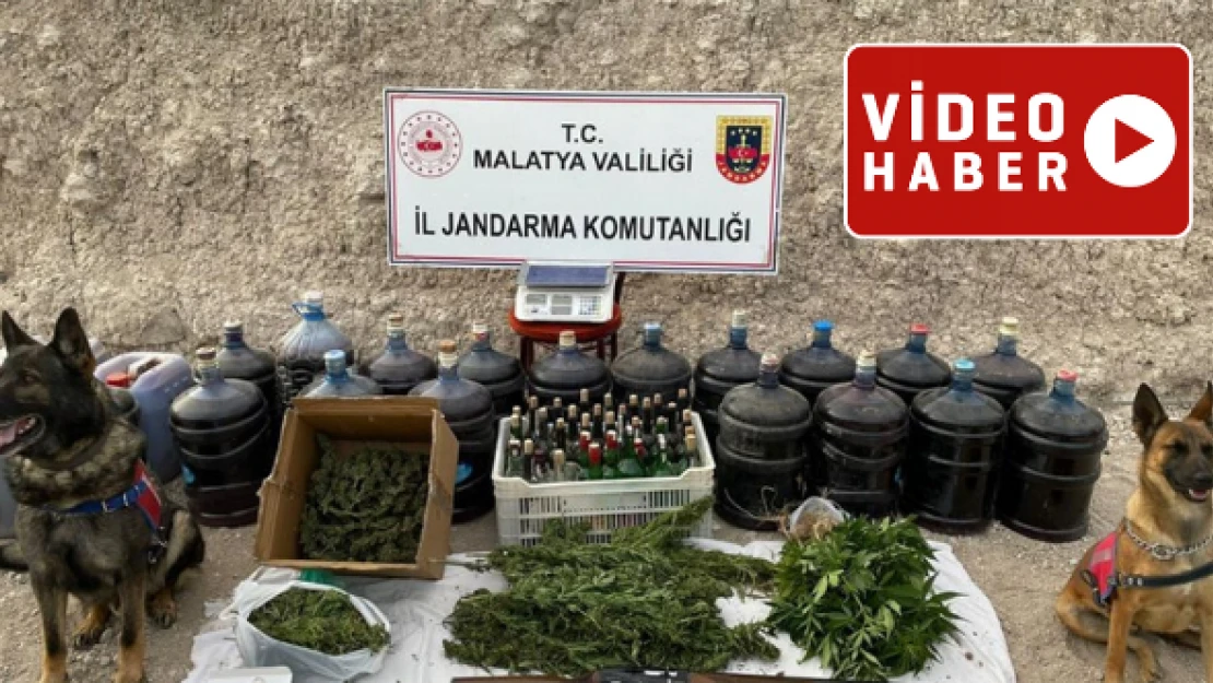 Malatya'da iki zanlı yakalandı