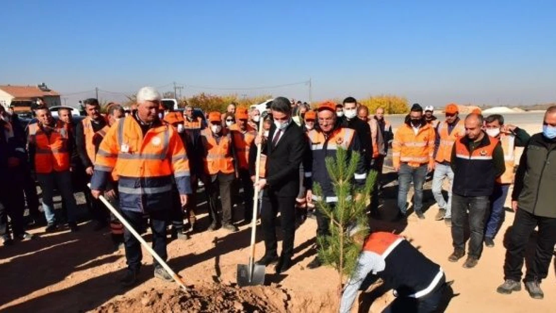 Malatya'da ağaçlandırma hareketi