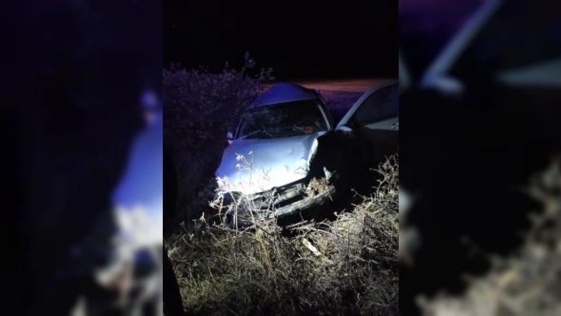 Pasinler'de otomobil şarampole uçtu: 6 yaralı