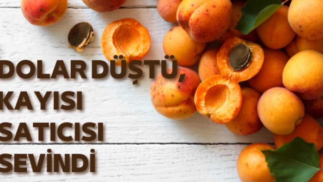Döviz kurlarındaki düşüş kayısı satıcılarını sevindirdi