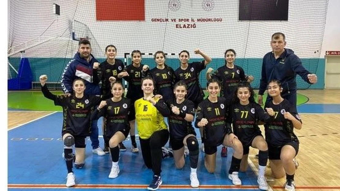 Elazığ SYSK: 33 - Kızıltepe Spor Lisesi SK: 24