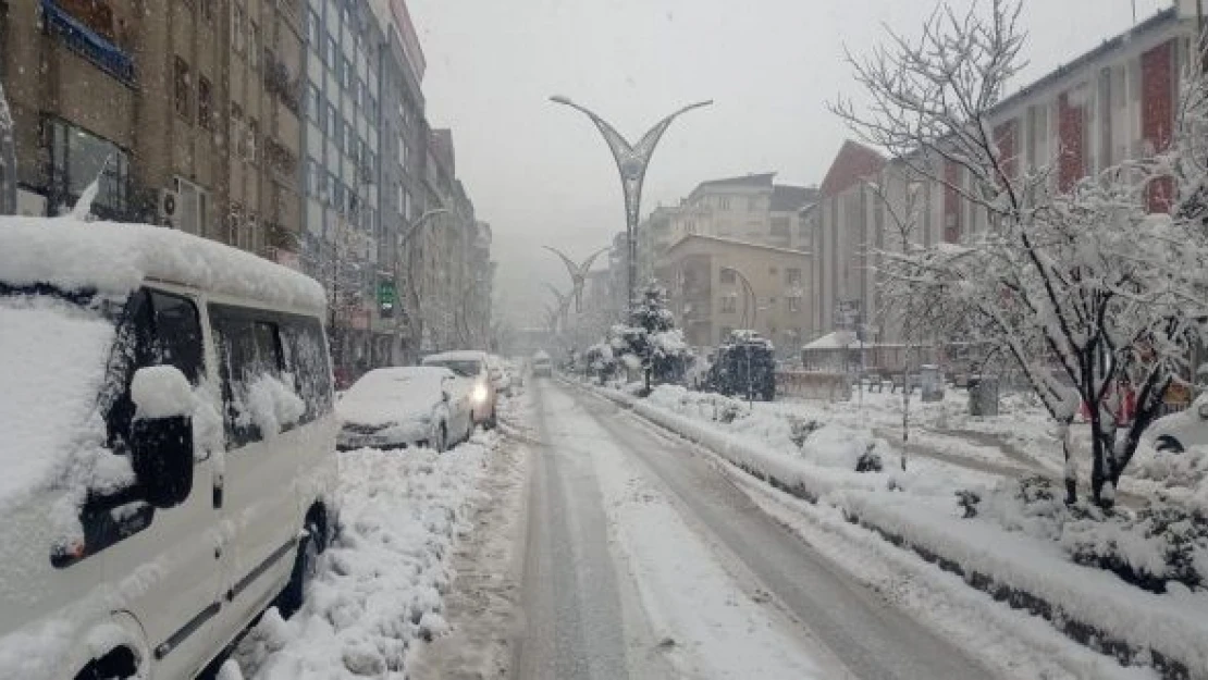 Hakkari'ye kar tatili sevinci