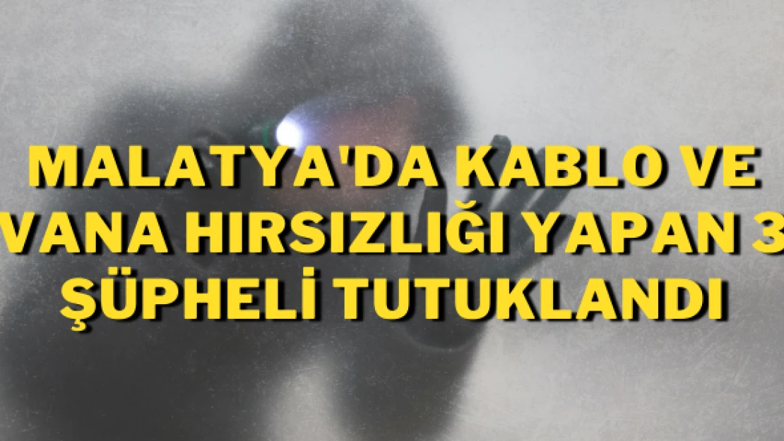 Kablo ve vana çaldılar, yakalandılar