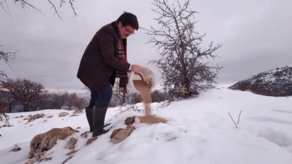 Çemişgezek yaban hayvanlarını unutmadı