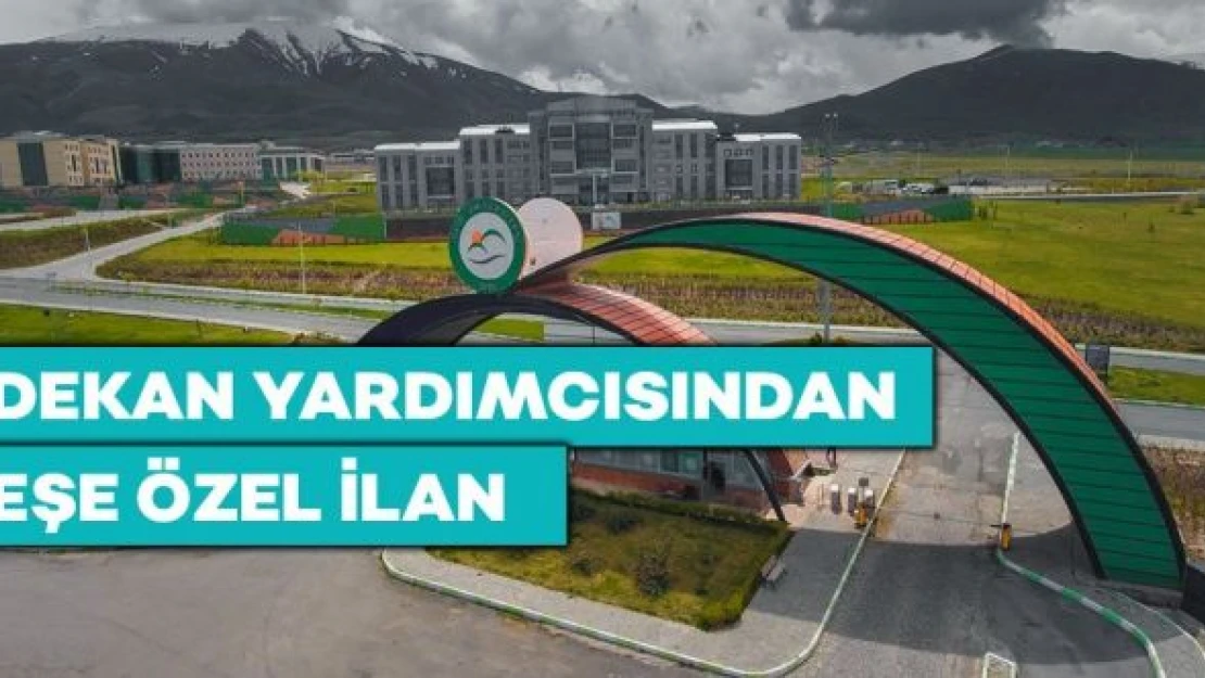 Dekan yardımcısının eşine kıyak