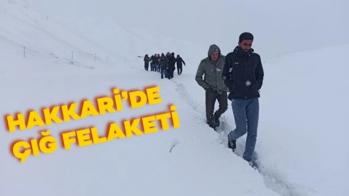 Hakkari'de çığ felaketi!