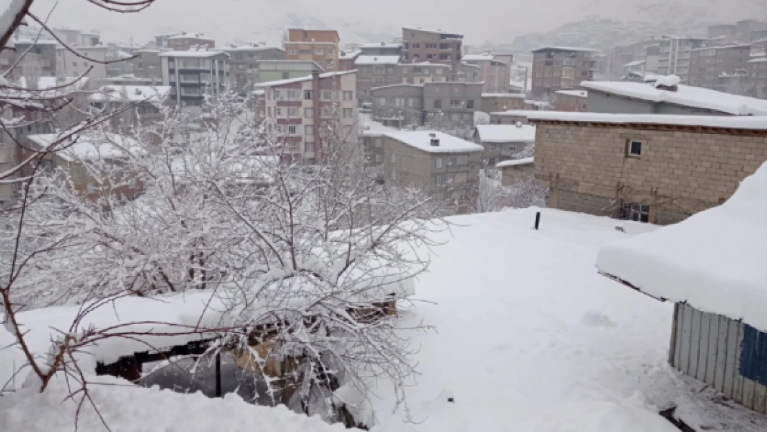 Hakkari kar altında kaldı