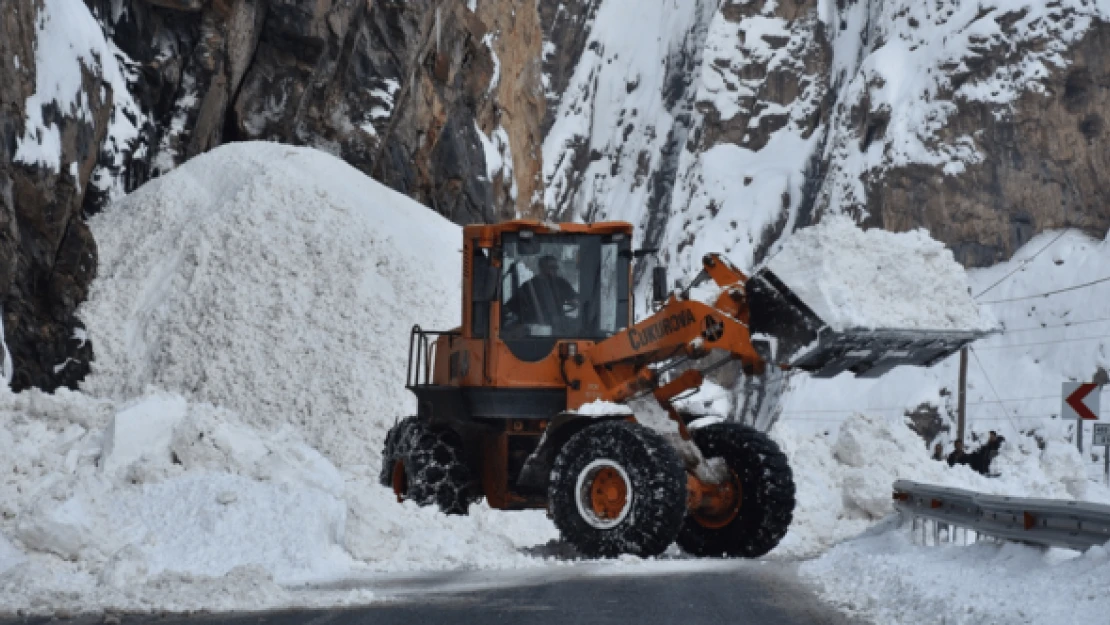 Hakkari-Van kara yolunun 5 noktasına çığ düştü