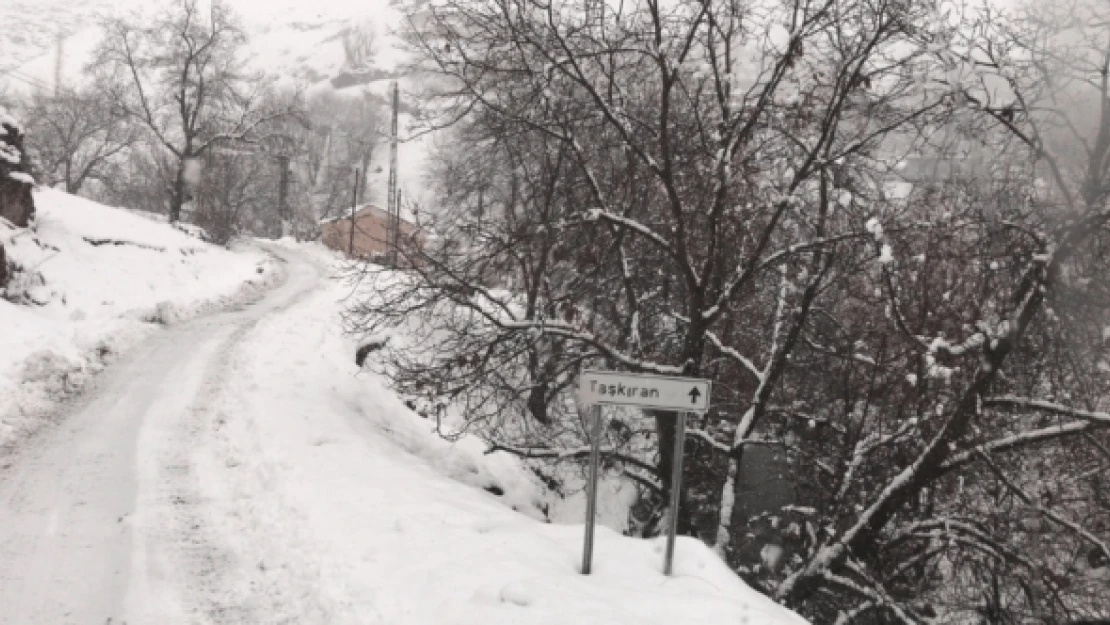 Şırnak beyaz çile ile mücadele ediyor