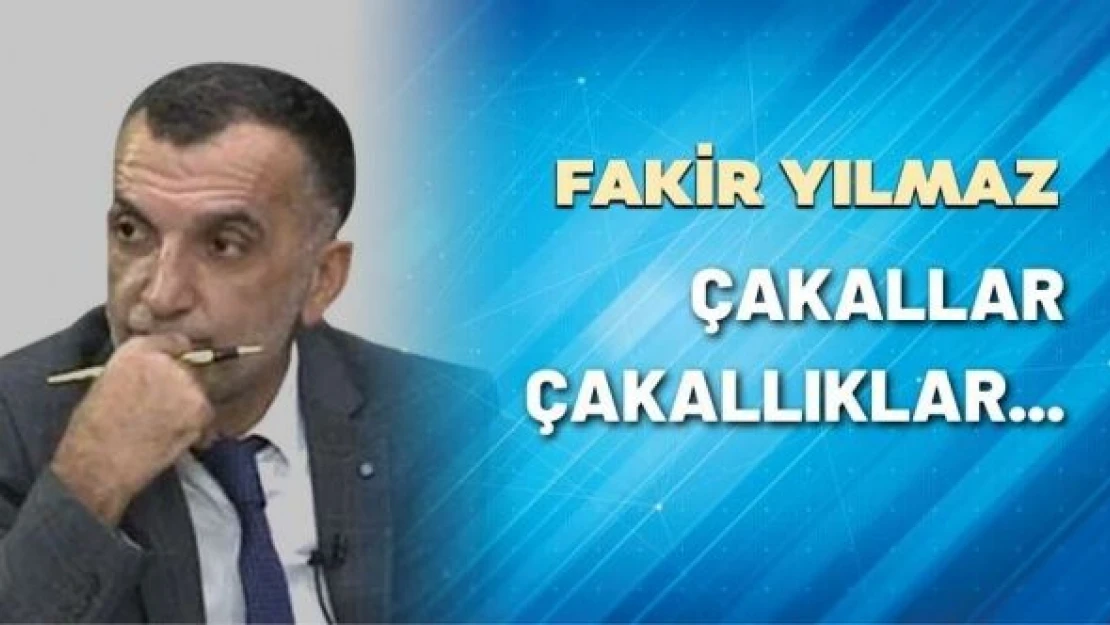 Çakallar, çakallıklar...