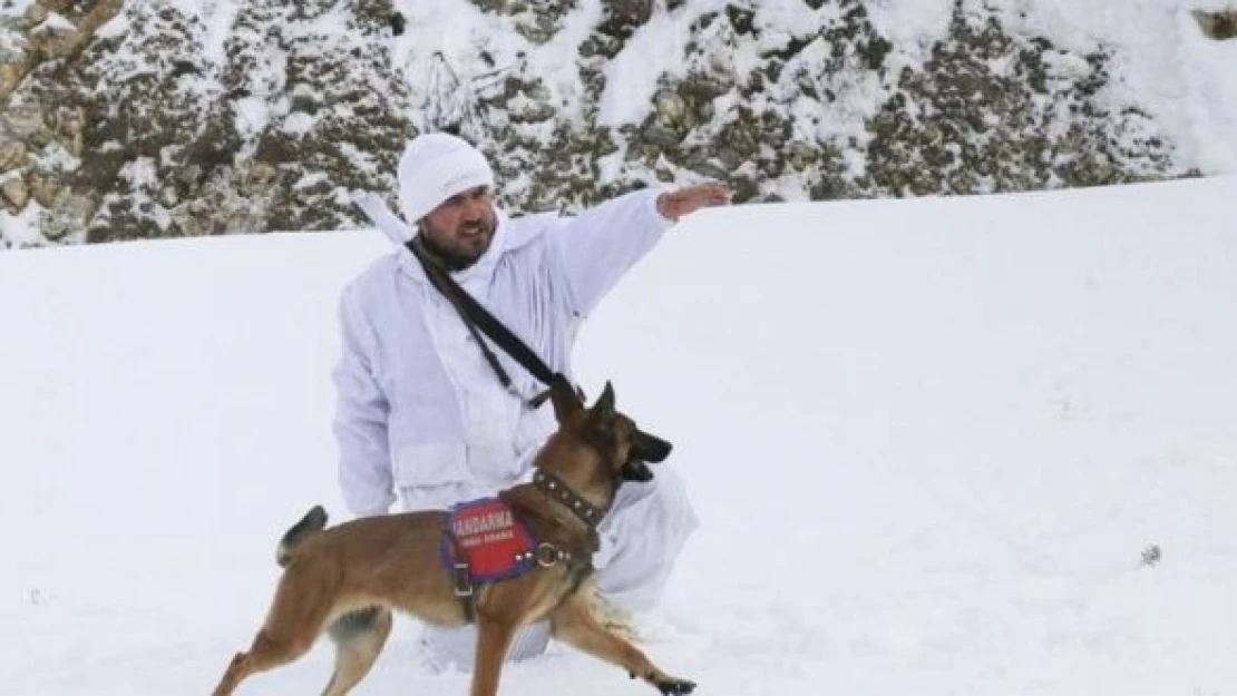 Komandoların kahramanı 'Tatya'