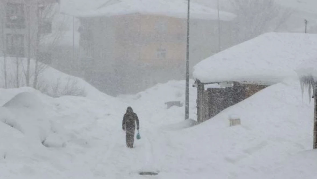 Karlıova'da okullar tatil