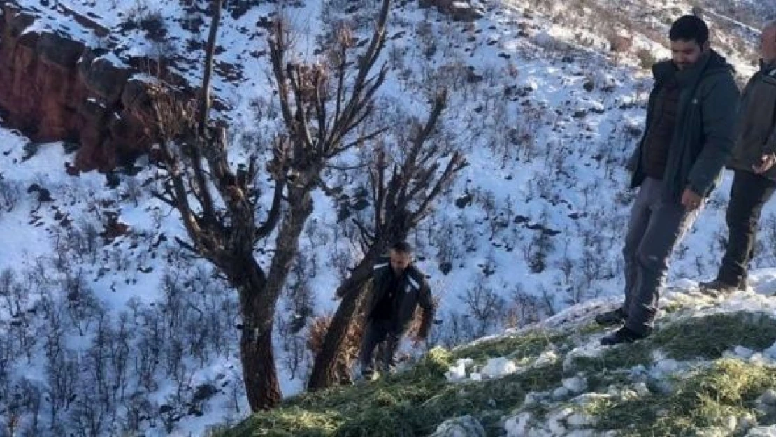 Tunceli'de kaçak avcılığa 777 bin 77 lira ceza!