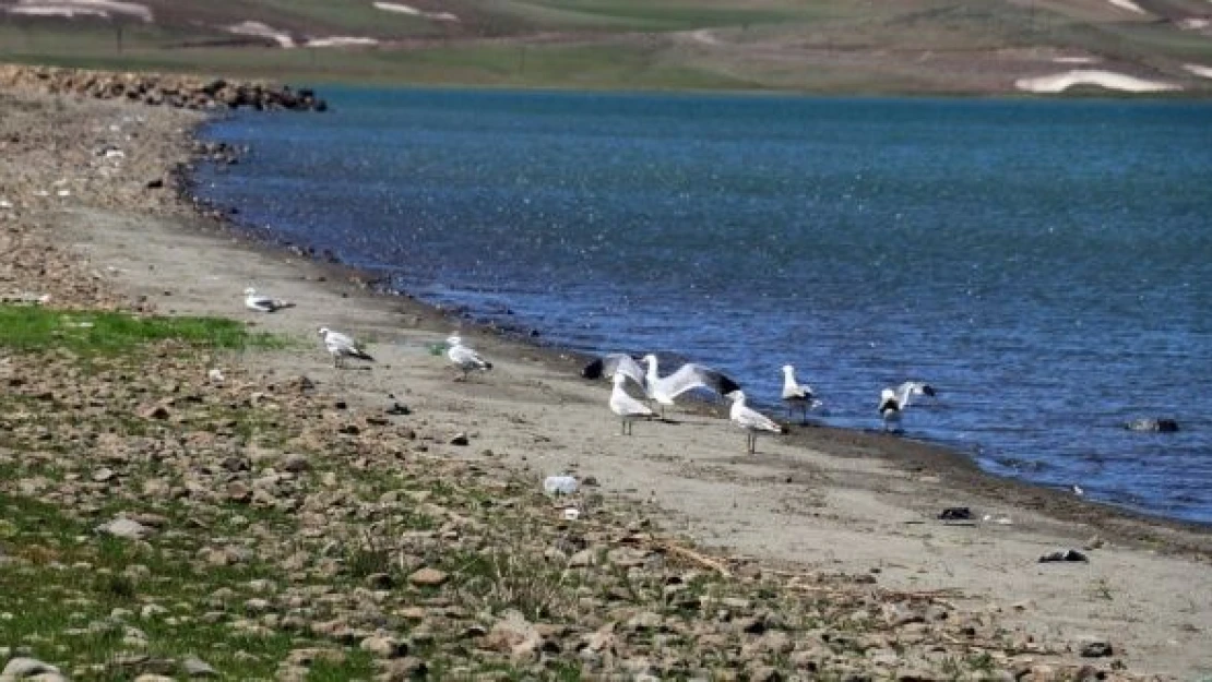 Balık Gölü doldu taştı!