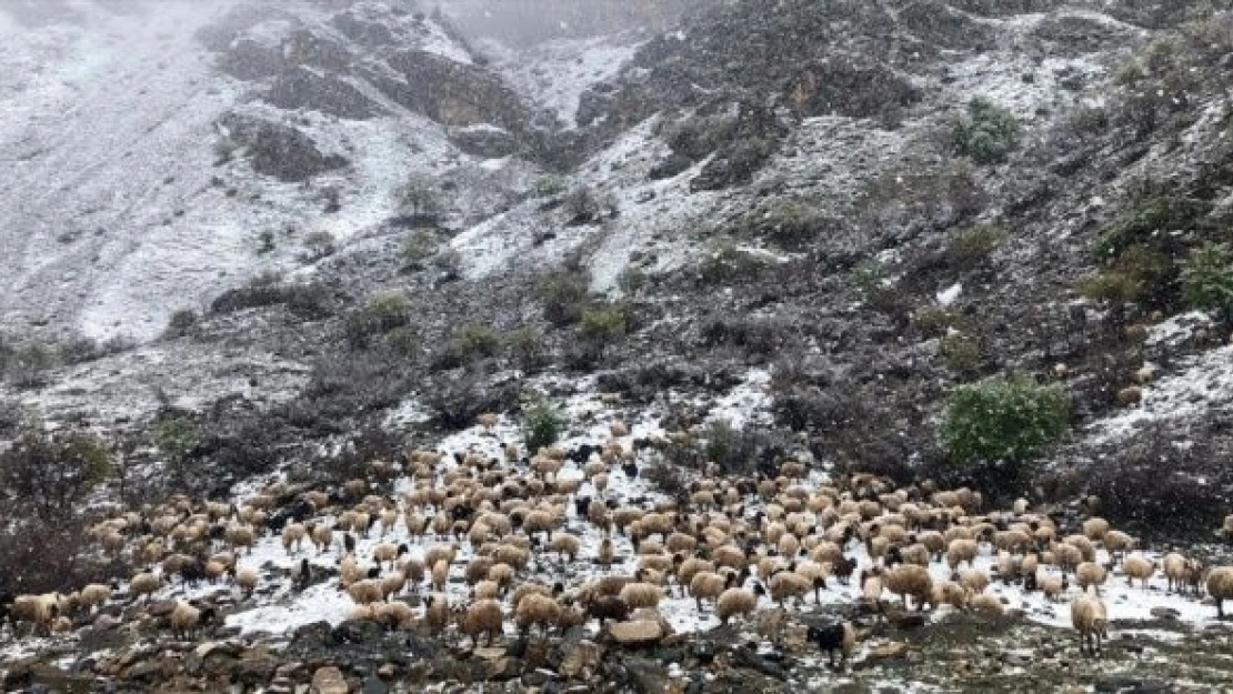 Van'da Mayıs karı yağdı