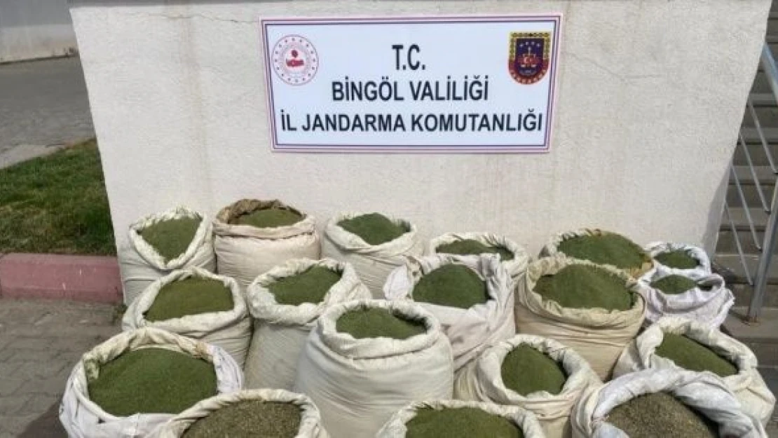 Bingöl'de esrar vurgunu