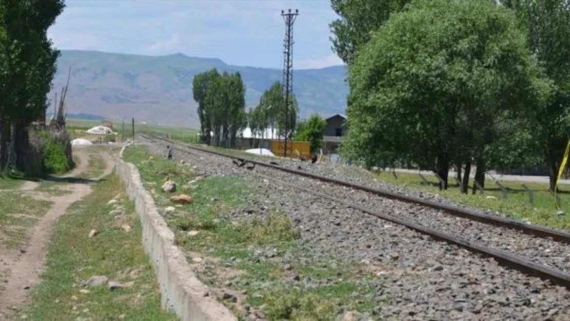 Muş'ta bir besici trenin altına kalarak can verdi!