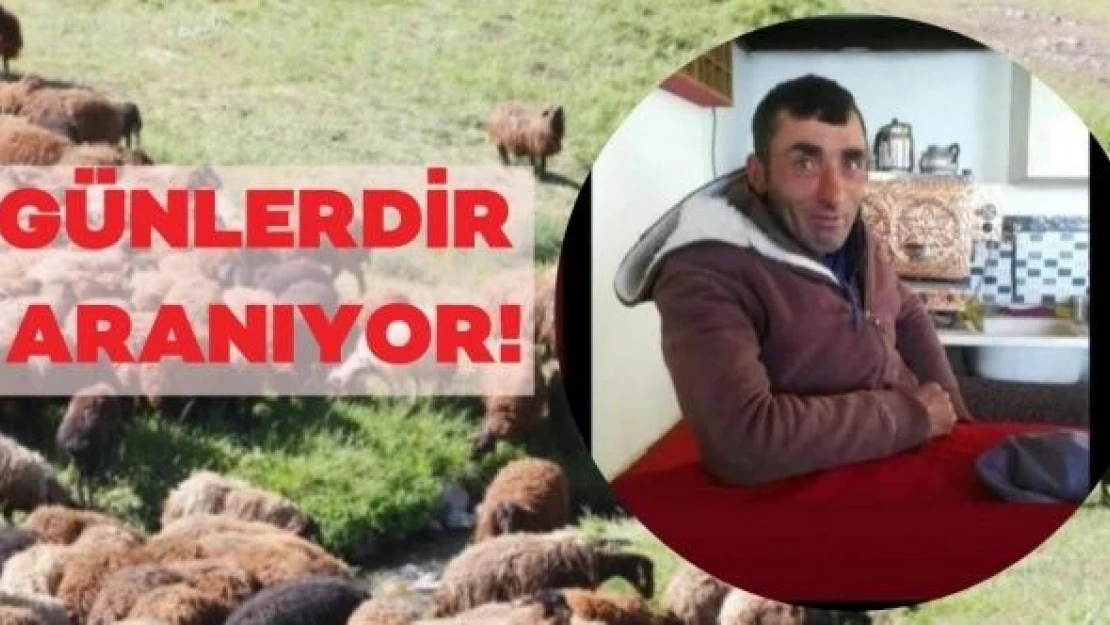 Çoban 5 gündür kayıp