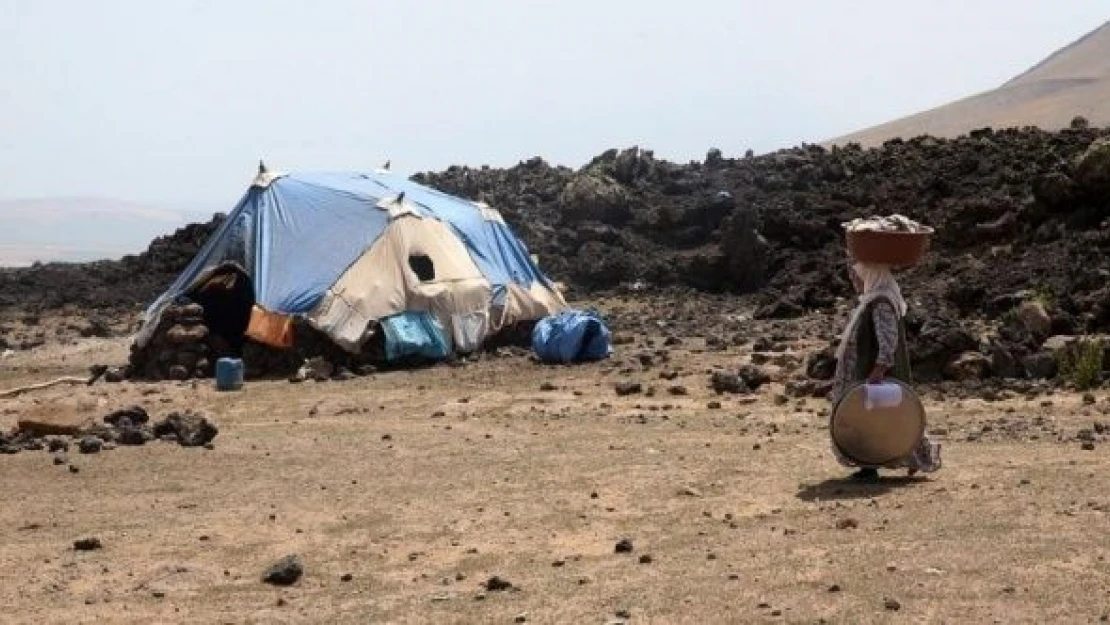 Nemrut Dağı'nın etekleri göçerleri ağırlıyor