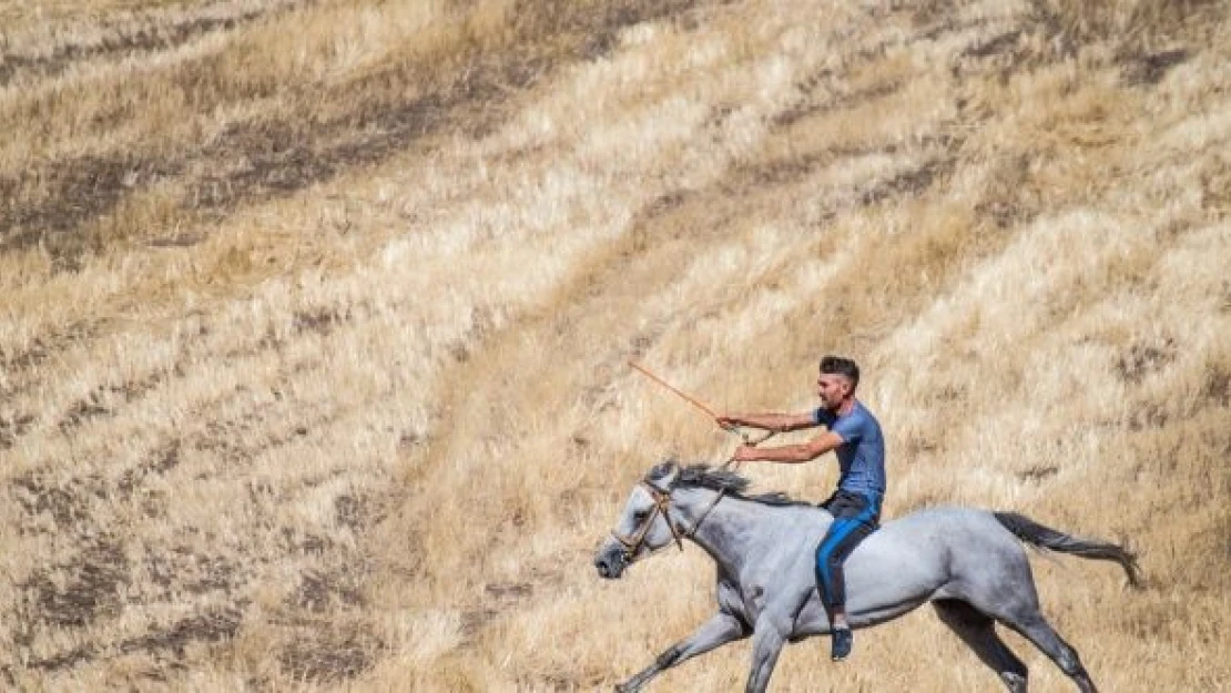 Kars'ta 'geleneksel at yarışı' yapıldı