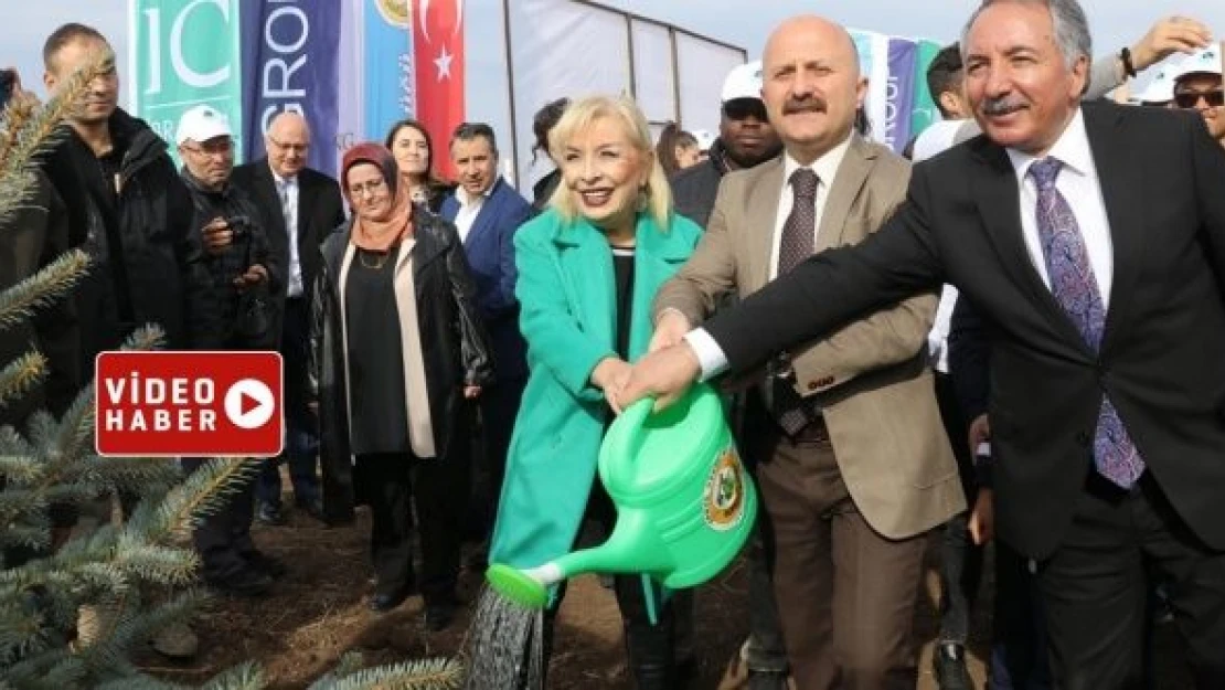 Ağrı'da 60 dekarlık orman oluşturuldu