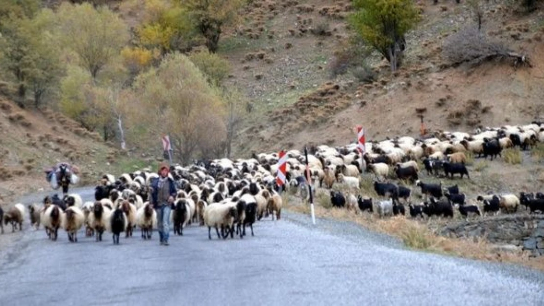 Göçerlerin dönüş yoşculuğu başladı