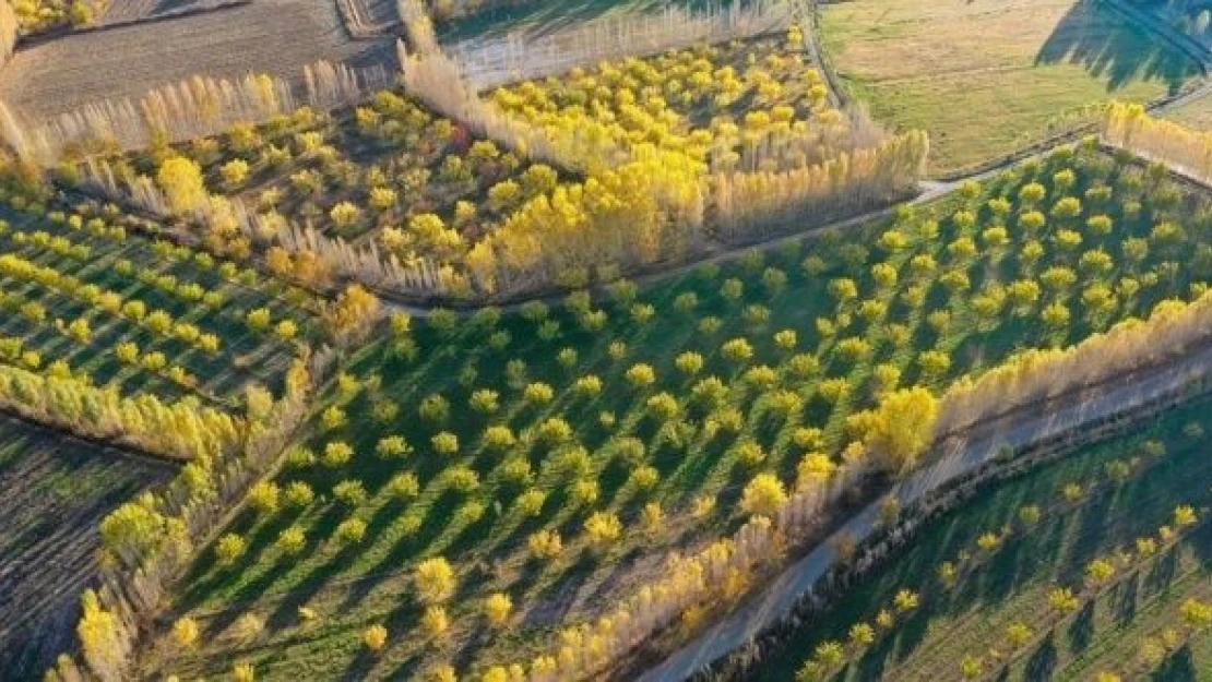 İrem Bağları'nda sonbahar renkleri dron ile görüntülendi