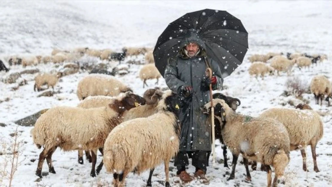 Van ve Hakkari kara teslim