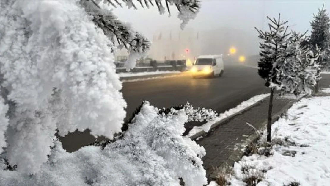 Ardahan'da yoğun sis etkili oldu